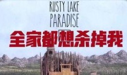 田林新闻爆料事件始末,真相与争议的交织